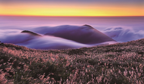 陽明山熱門景點